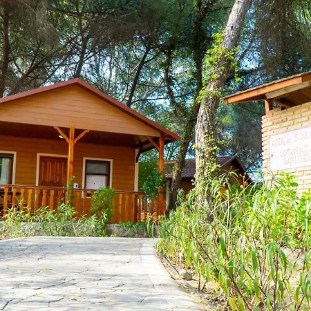 Taiga Puerto Santa Maria Campsite El Puerto de Santa Maria